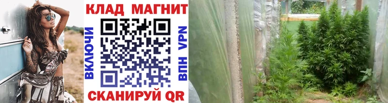 Где купить Цимлянск Альфа ПВП  Меф мяу мяу  Псилоцибиновые грибы  ОМГ ОМГ ссылки  ГАШИШ  Марихуана 