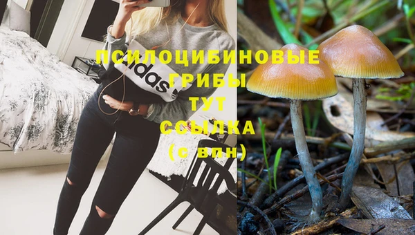 гашишное масло Лагань