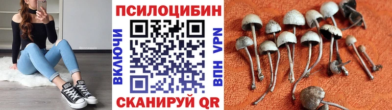 Псилоцибиновые грибы Psilocybe  Цимлянск 